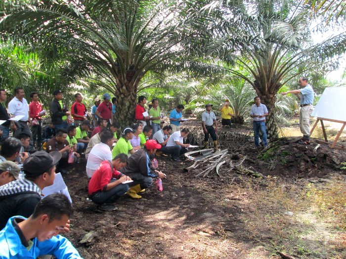 Oil Palm Plantation Operations Training